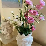 Hotel Araba Fenice 3*