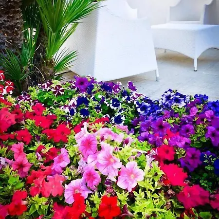Araba Fenice Hotel San Vito Lo Capo